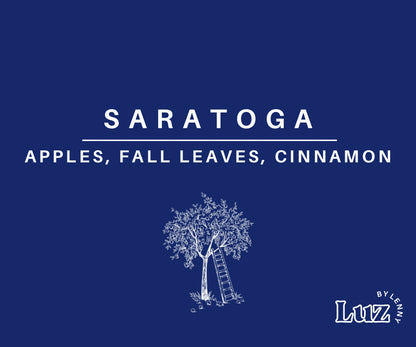 Holiday 2025 Wax Melt Set